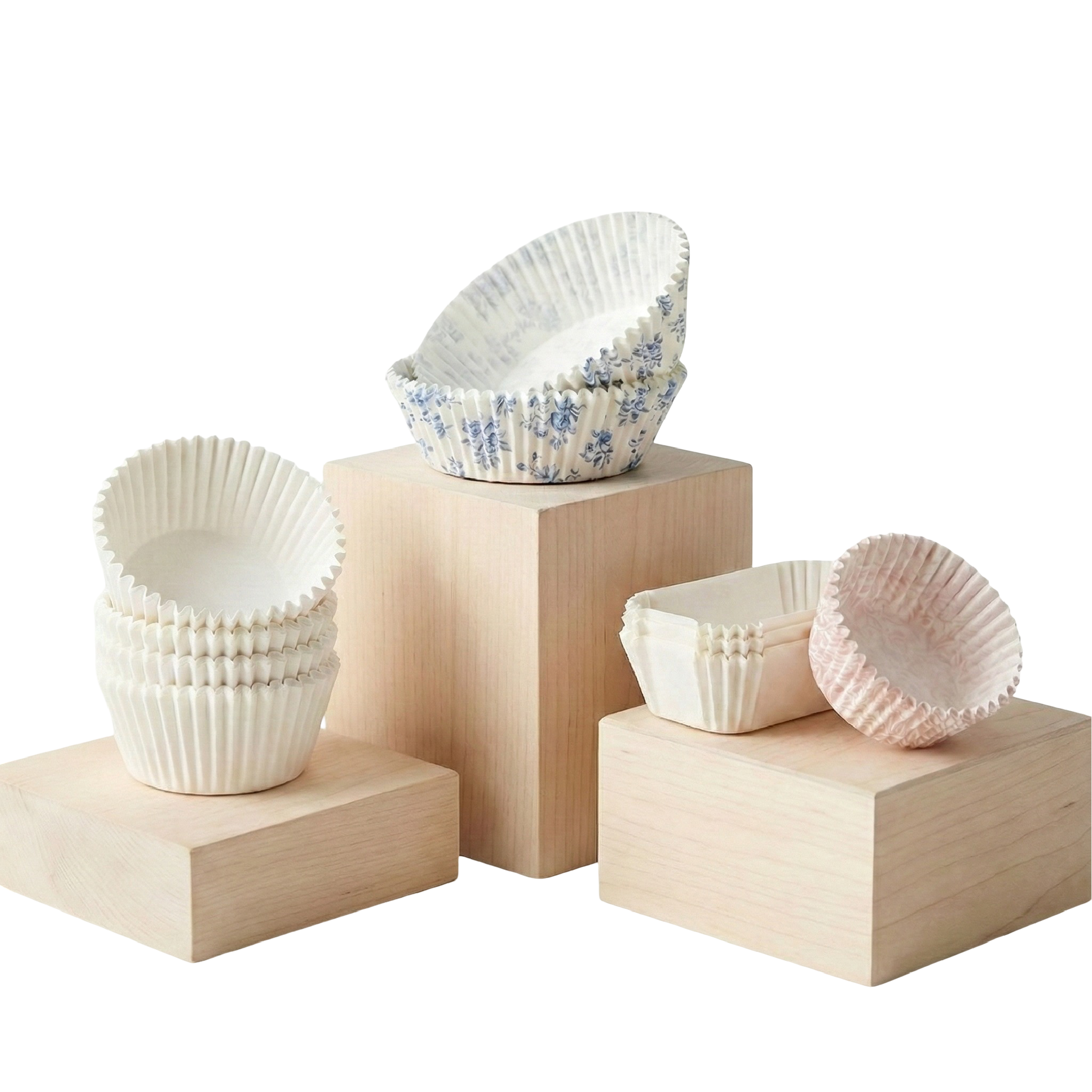 Adobe Express - file (15)-01