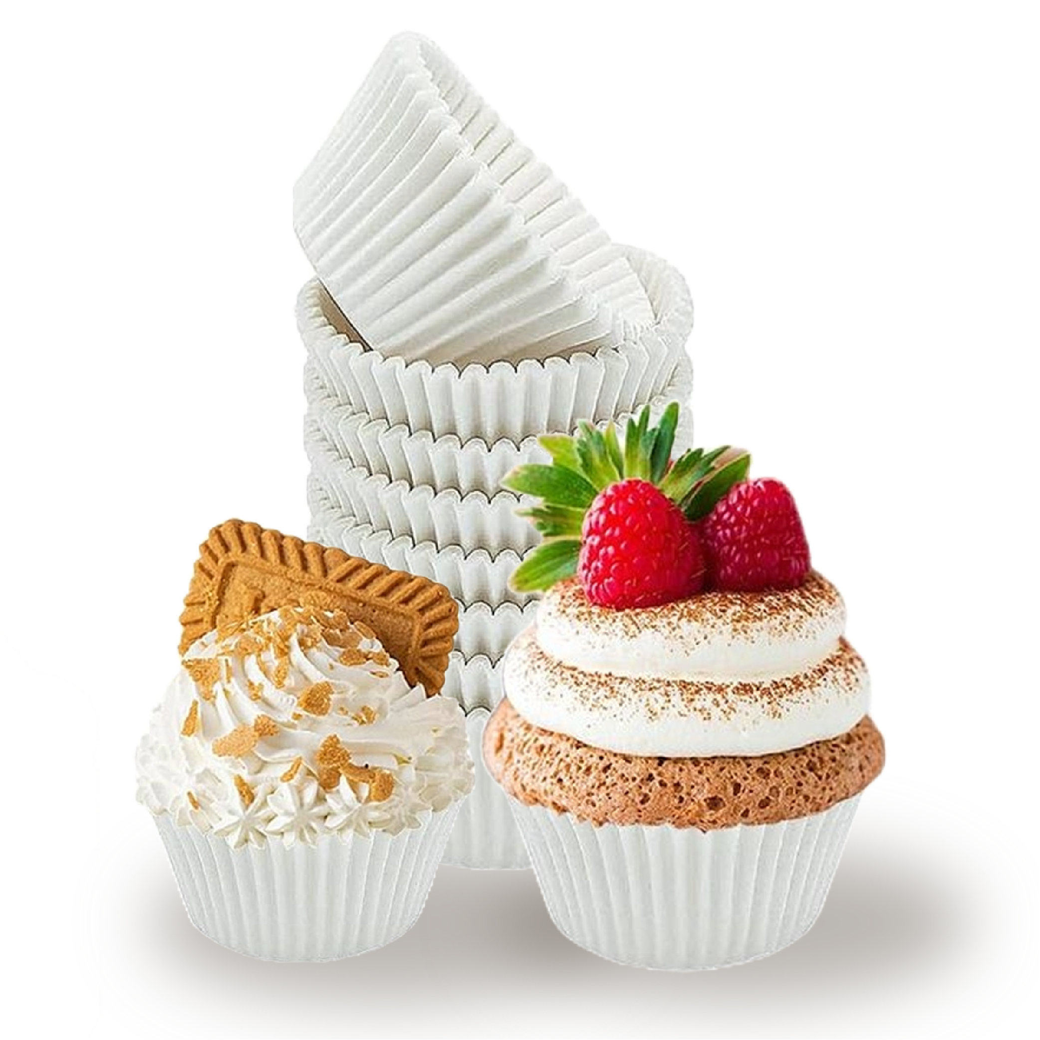 Adobe Express - file (15)-02