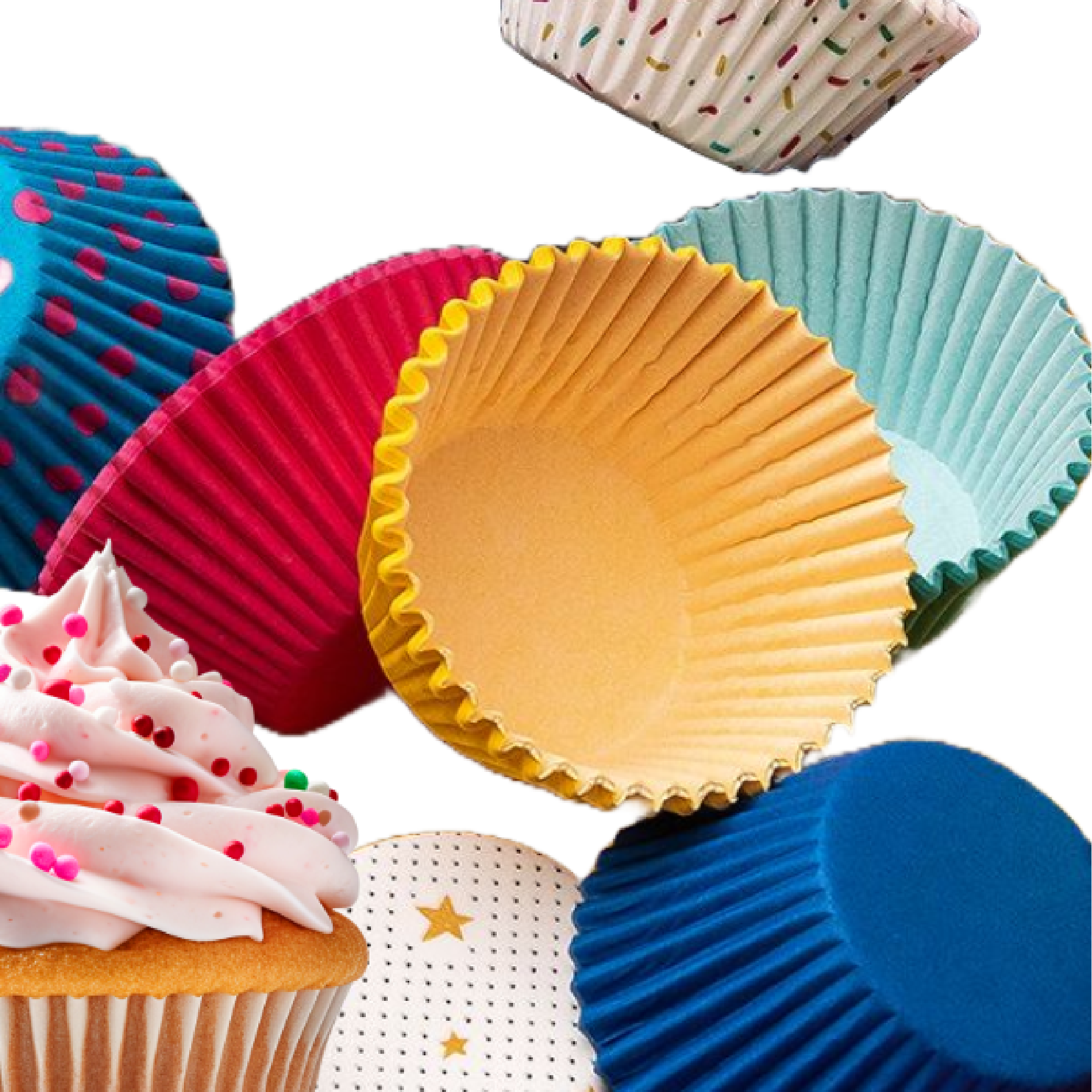 Adobe Express - file (15)-05